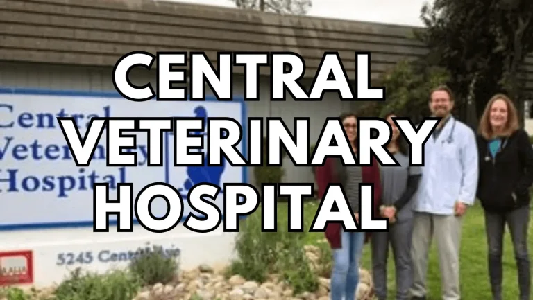 Central Veterinary Hospital: Your Trusted Pet Care Partner